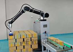 Robot de Paletización Portátil Colaborativo para un Embalaje Eficiente, Recogida y Colocación de 85 kg, 1900 mm - Product Image 4