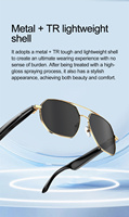Nouvelles Lunettes Intelligentes Tendance W100/W100C Étanche Extérieur Métal Traducteur IA Lecture Musicale Fonction BT Design Barre