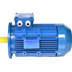 Moteur asynchrone triphasé AC personnalisé en usine, 0,75 kW/1 CV, 3000 tr/min, efficacité IE3, IP55/IP56, aluminium - Product Image 1
