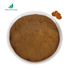 Linh chi Nấm chiết xuất bột <span class=keywords><strong>Ganoderma</strong></span> <span class=keywords><strong>lucidum</strong></span> chiết xuất 40% polysaccharides Cung cấp <span class=keywords><strong>Ganoderma</strong></span> <span class=keywords><strong>lucidum</strong></span> chiết xuất Polysaccharide - Product Image 1