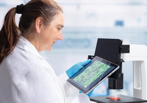 Axiovert 5 Digital Intègre l'Intelligence Artificielle dans Votre Laboratoire Cellulaire, Réduisant Votre Charge de Travail Quotidienne - Product Image 4