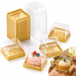 Boîtes en plastique PET pour pâtisseries, gâteaux de lune, avec couvercle en dôme, mini boîtes rectangulaires pour sushis, sucre, aliments pour bébés, gâteaux - Product Image 1