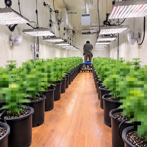 Ferme verticale automatisée Holm Smart avec conteneurs de semis, éclairage LED à spectre complet, structure fermée en HDPE, aquaponie et aéroponie - Product Image 4