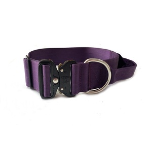 Collar de Nailon de <span class=keywords><strong>2</strong></span> Pulgadas para Perro con Mango Controlable, Diseño Clásico y Moderno, Hebilla de Metal y Cintas - Product Image 3