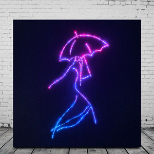 All'ingrosso Custom RGB LED in fibra ottica da parete Art-decorazioni in tela <span class=keywords><strong>animali</strong></span> con telecomando che cambia colore - Product Image 3