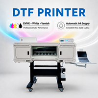 Mesin Printer DTF Multifungsi LINKO Automatic T-Shirt A1 60cm untuk Cetak Kaos di AS