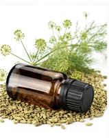 Huile de fenouil, extrait végétal liquide de qualité cosmétique, séché par atomisation, provenant du Jiangsu