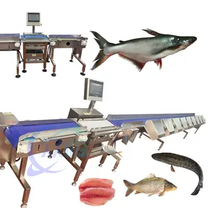 Gamme de pesage simple commerciale 1g-3g Pangasius de machine de classement par taille de poisson