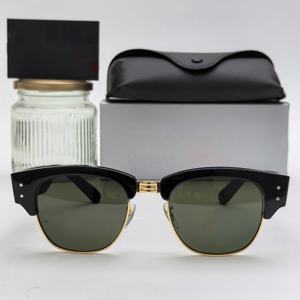 Hot Selling Black Color <b>Sunglasses</b> Full Rim Trendy 0316 <b>Sunglasses</b> with Logo - Product Image 2