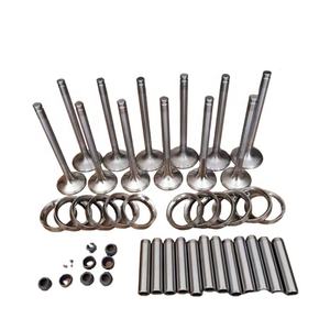 Ensemble de soupapes pour pièces de moteur QUANCHAI 4D22 /4D25 / 4D26 MOTEUR DIESEL UTILISÉ pour <span class=keywords><strong>camion</strong></span> léger / chargeuse sur pneus - Product Image 1