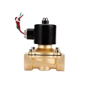 Bobina de cobre de latón de acero inoxidable, 12 voltios, 2 pulgadas, CA, CC, 24v, 220v, rosca de vapor de aire, válvula de agua solenoide