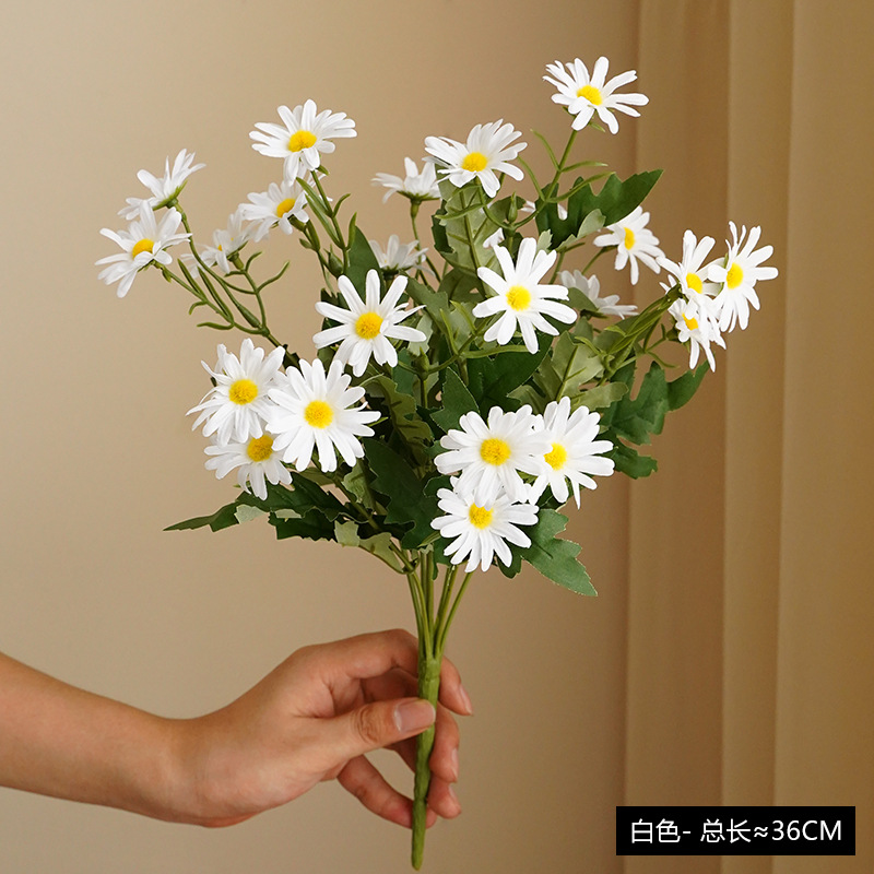 #2 Daisy