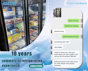 Tủ đông trưng bày thực phẩm đông lạnh nhiệt độ đơn 450L thẳng đứng với chức năng không có sương giá 5 Kệ tiết kiệm năng lượng - Product Image 6