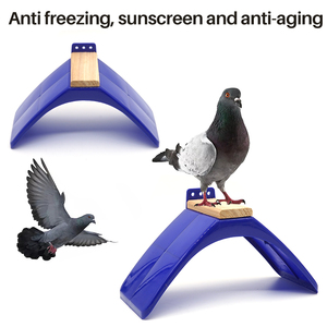 Perchoir Résistant en Plastique pour Pigeons, Support de Repos Anti-Gel en Bois pour Pigeons de Course, Accessoires pour Oiseaux - Product Image 2