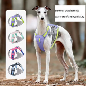 Harnais pour chien personnalisé avec logo, gilet de poitrine pour animaux de compagnie, imperméable, séchage rapide, léger, pour chiens de petite et moyenne taille - Product Image 3