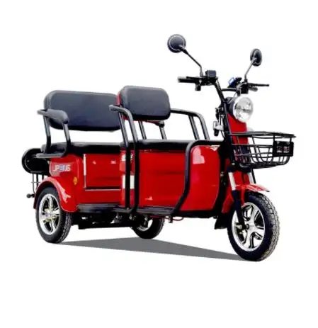 Triciclo eléctrico adulto barato de China triciclo eléctrico de 3 ruedas para 2 personas