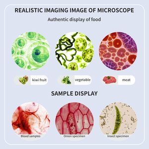 Zoom 2000x Monocular estudiante microscopio biológico LED laboratorio para niños escuela familiar laboratorio educación microscopio para niños - Product Image 6