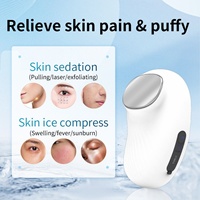Appareil de beauté chaud et froid, mini appareil de soin du visage, rajeunissement de la peau, masseur facial