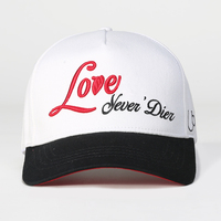 Gorra de Béisbol de 5 Paneles de Gamuza, Material de Algodón, Bordado 3D de Alta Calidad, Parche Personalizado de Dos Colores con Logotipo