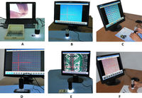 Microscope USB portable 1,3 MP, avec visualisation en temps réel et éclairage uniforme, idéal pour l'inspection des métaux précieux à usage domestique