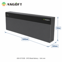 Powergo Magazzino Europeo, Batteria LiFePO4 BYD 7.83kWh 7.8kW 10kWh 10kW 153Ah, Spedizione Rapida