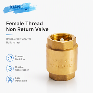 Clapet anti-retour vertical en laiton à ressort, filetage femelle BSP, pour système de conduite d'eau de yacht marin - Product Image 1