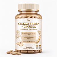 Capsules de Ginkgo Biloba et de Ginseng à Marque Blanche, 60 Comprimés avec Magnésium, Complément Alimentaire