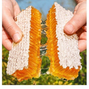 Miel en combles frais biologique en vrac, produit apicole pur et naturel, miel en combles cru de qualité supérieure, certifié HACCP, Brix 80, fourni directement par l'usine - Product Image 6