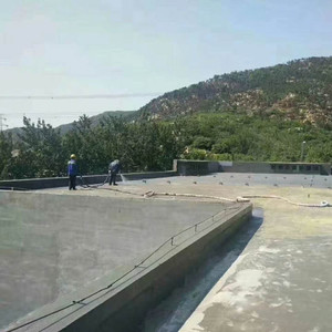 Pulvérisation de polyurée imperméable Revêtement de polyurée sans pollution pour les toits extérieurs - Product Image 3