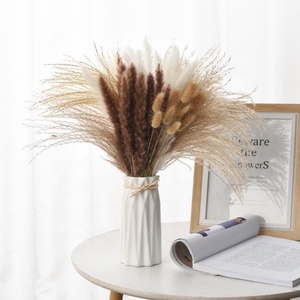 ZS002 Vente en gros d'herbe de la pampa naturelle séchée à longues tiges, style nordique, blanc et marron, <span class=keywords><strong>pour</strong></span> arrangement de <span class=keywords><strong>vase</strong></span> et décoration - Product Image 1