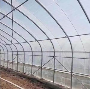 Kit de serre agricole à simple travée avec film plastique PE et structure en acier galvanisé à chaud pour usage domestique, jardin et cour arrière - Product Image 4