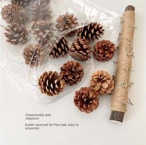 2026 New Parrot <strong>Toy</strong> <strong>Bird</strong> Supplies Pineapple Hemp Rope Bite Strands Hanging Festival <strong>Bird</strong> <strong>Cage</strong> Decoration Made of Wood - Product Image 3