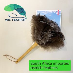 <span class=keywords><strong>Plumeau</strong></span> d'autruche <span class=keywords><strong>blanc</strong></span> pur et doux de 16 pouces pour le nettoyage - Product Image 6