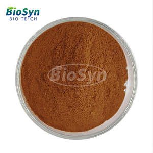สารสกัดเห็ดหลินจือแบบผงสำหรับขายส่ง ยี่ห้อ <span class=keywords><strong>BioSyn</strong></span> ผลิตภัณฑ์เสริมอาหารเพื่อสุขภาพ สารสกัดจากเห็ดหลินจือ (Hericium Erinaceus) แบบผง - Product Image 1