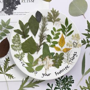 500 pièces/paquet, marque-pages et cadre photo artisanaux en fleurs pressées de type varié, aspect réaliste - Nouvel An chinois, Saint-Valentin - Product Image 2