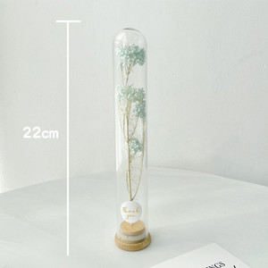 E77 Vente chaude Ensemble cadeau de fleurs séchées naturelles en tube de verre Pampas Fleurs séchées blanches et roses conservées avec du verre - Product Image 4