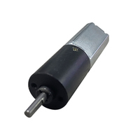 Moteur DC à aimant permanent de 16 mm personnalisé par l'usine Futeng avec engrenage planétaire 6V 8V 9V 12V pour applications de robots DIY et de maisons intelligentes