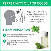 Huile Essentielle de Menthe Poivrée Pure en Gros – Fournisseur d'Usine – Huile de Mentha Piperita pour Baume, Alimentation et Cosmétiques