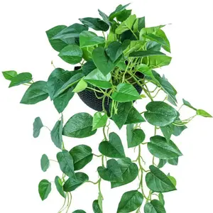 인공 담쟁이 잎 식물 포도 나무 매달려 화환과 인공 잎 천장에 매달려