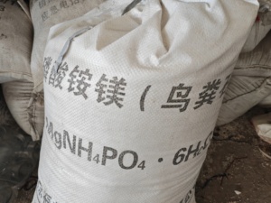 Struvite bản đồ phân bón 2-3mm bóng hạt 12 <span class=keywords><strong>P</strong></span> - Product Image 6