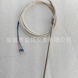 Salt Inscription E Type Thermocouple 0-400 Celsius Wire Leads Temperature Sensor - Product Image 2