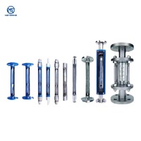 Rotámetro de Vidrio Personalizado, Medidor de Flujo de Área Variable, Medidores Rotatorios para Medir el Flujo de Agua, Gas, Aceite y Líquidos, Conexión de Brida