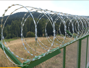 Alambre de Púas de Acero Galvanizado BTO22 de Doble Cruz Plano, Directo de Fábrica, para Cercas de Seguridad - Product Image 2