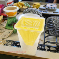 Piège à mouches à fruits en plastique non toxique et sans danger pour les enfants, avec appât aux fruits ou au jus, attrape-insectes