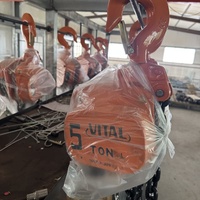1T kapasitas 3M panjang 1 Set Harga penting Model tangan Hoist Manual rantai blok 1000KG