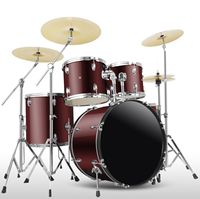 Factory Wholesale Professional Adult 5 Drums 2/3/4 Cymbals Jazz Drum Set Musical Instrument