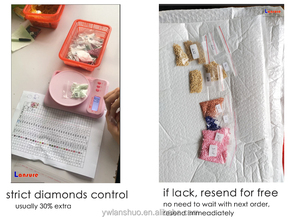 LS bán buôn tự làm 5D kim cương khảm thêu hoa hình ảnh Bộ dụng cụ cổ điển màu hồng tím tăng đầy đủ Khoan Kim Cương sơn in - Product Image 5