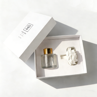Diffuseur d'ambiance solide parfumé aux fleurs en porcelaine fait main personnalisé, 50 ml, bouteille en verre, écologique, parfum d'intérieur