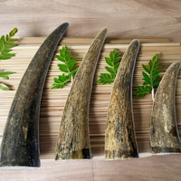 Pointes polies sculptées en corne de buffle naturelle de haute qualité, écologiques, couleur animale, faites à la main, cadeau d'affaires, taille personnalisée, vente en gros