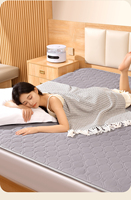Chauffe-lit électrique portable 220V en polyester tricoté, lavable, à contrôle de température, pour la maison et les voyages, toutes saisons, haute qualité, vente en gros